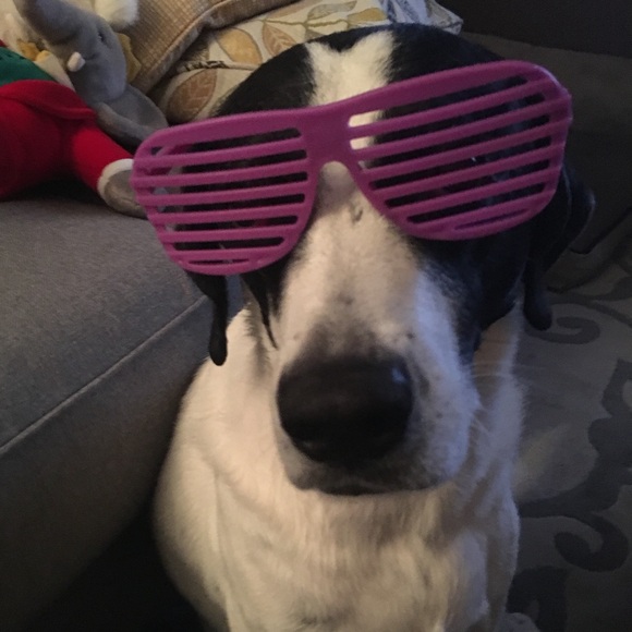 @crb_az is Live!  Live Show Flyer - Picture 5 of 5